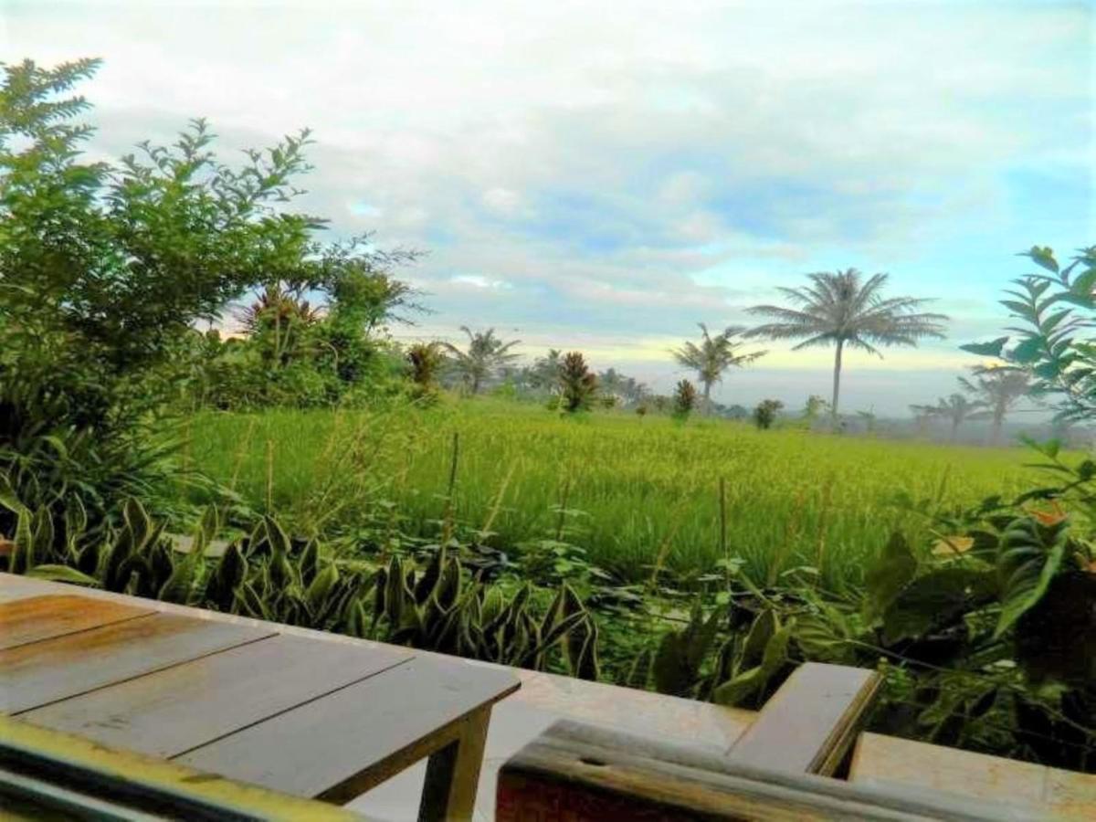 Fida Ijen Crater Guesthouse Licin Kültér fotó